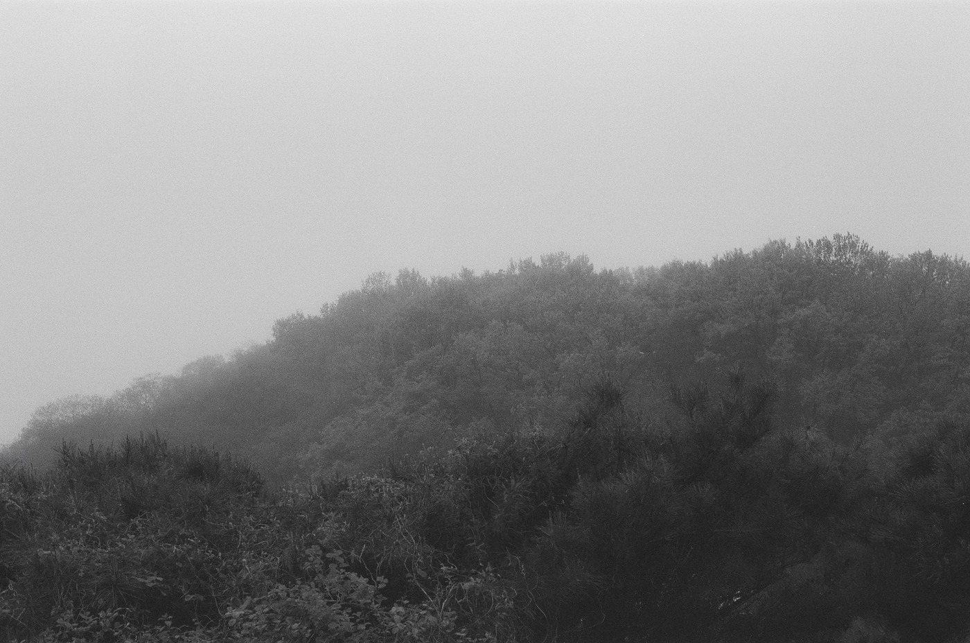 사진 02